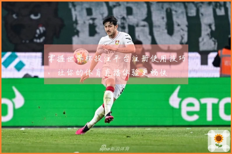 掌握世界杯投注平台注册使用技巧，让你的体育直播体验更畅快