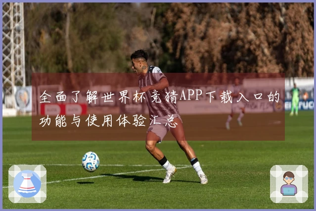 全面了解世界杯竞猜APP下载入口的功能与使用体验汇总