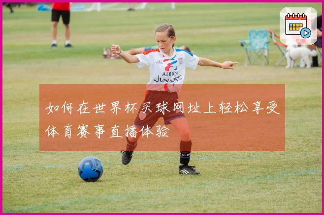 如何在世界杯买球网址上轻松享受体育赛事直播体验