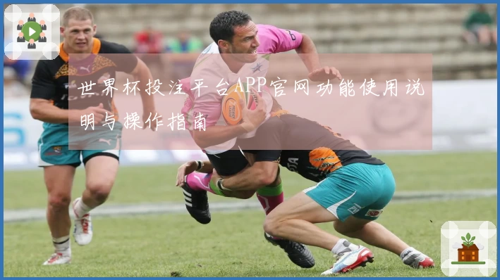 世界杯投注平台APP官网功能使用说明与操作指南