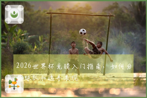 2026世界杯竞猜入门指南，如何分析球队和选手表现