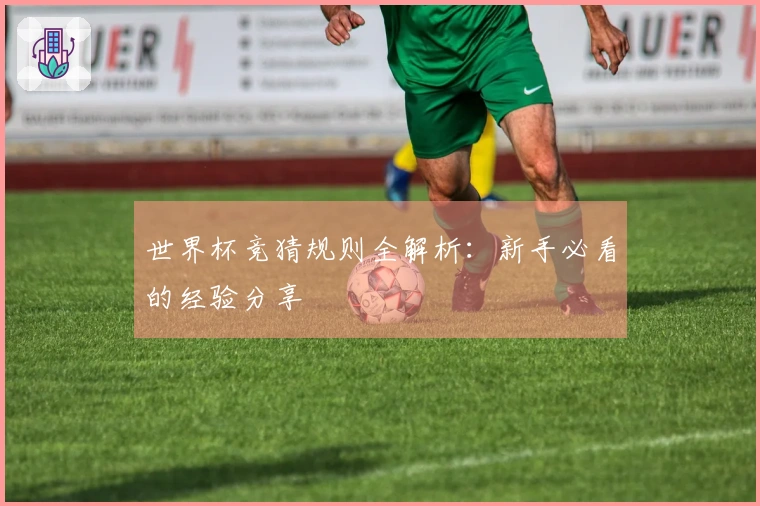 世界杯竞猜规则全解析：新手必看的经验分享