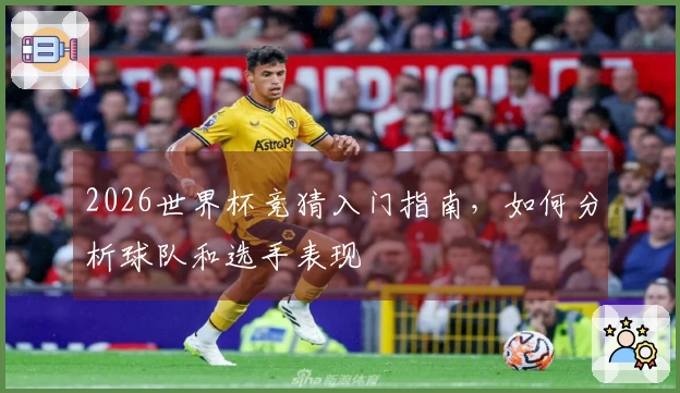 2026世界杯竞猜入门指南，如何分析球队和选手表现