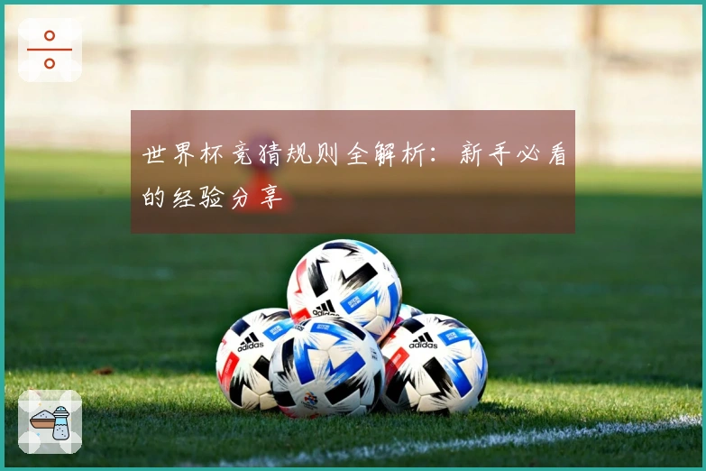 世界杯竞猜规则全解析：新手必看的经验分享
