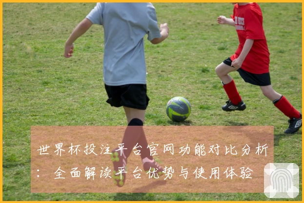 世界杯投注平台官网功能对比分析：全面解读平台优势与使用体验