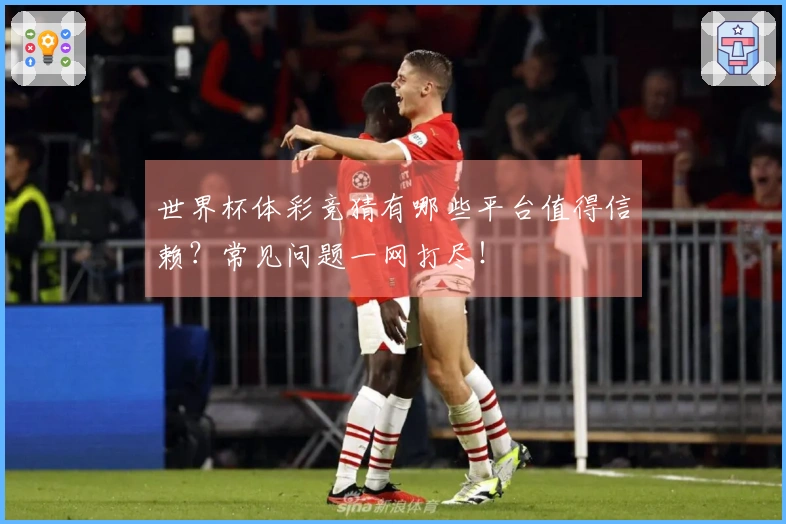 世界杯体彩竞猜有哪些平台值得信赖？常见问题一网打尽！
