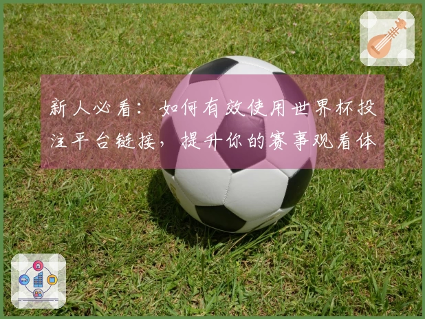 新人必看:如何有效使用世界杯投注平台链接,提升你的赛事观看体验