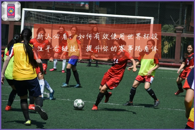 新人必看：如何有效使用世界杯投注平台链接，提升你的赛事观看体验