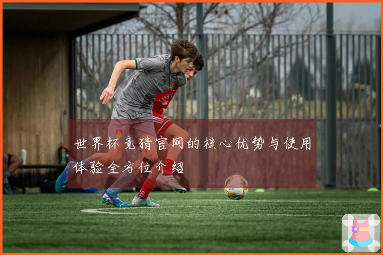 世界杯竞猜官网的核心优势与使用体验全方位介绍