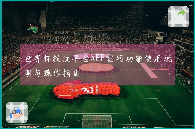 世界杯投注平台APP官网功能使用说明与操作指南